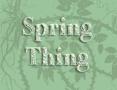 Spring Thing 2025 Entries Are Now Live!